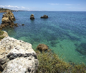 Portugalia, Region Algarve, Roślinność, Morze, Skały, Wybrzeże
