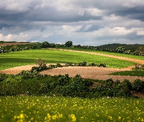 Pola uprawne, Chmury, Drzewa, Łąka