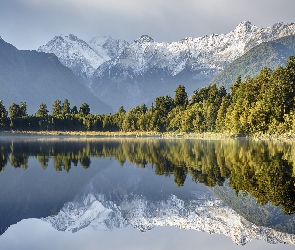 Drzewa, Las, Jezioro Lake Matheson, Odbicie, Park Narodowy Góry Cooka, Góry Alpy Południowe, Nowa Zelandia