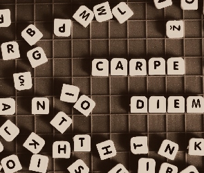 Scrabble, Carpe diem, Sentencja, Napis