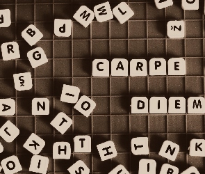 Carpe diem, Sentencja, Scrabble, Napis