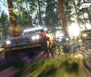 Las, Wyścigi, Forza Horizon 4, Samochody