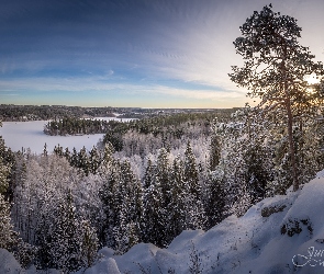 Park Aulanko, Zima, Lasy, Hameenlinna, Finlandia, Drzewa, Jezioro Aulangonjarvi