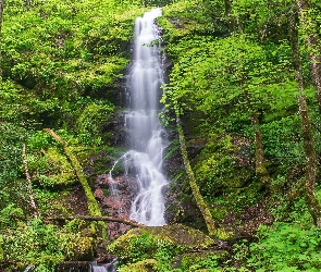Park Narodowy Great Smoky Mountains, Omszałe, Stan Tennessee, Stany Zjednoczone, Roślinność, Las, Skały, Drzewa, Wodospad Mouse Creek Falls