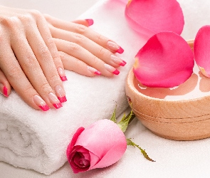 Manicure, Ręcznik, Płatki, Róża, Dłonie