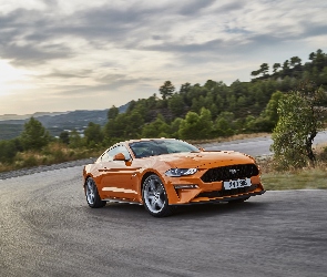 Ford Mustang GT, Droga