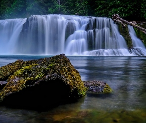 Osada Cougar, Wodospad Lower Lewis River Falls, Las, Stany Zjednoczone, Omszałe, Kamienie, Stan Waszyngton