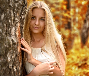 Drzewo, Blondynka, Kobieta, Długowłosa