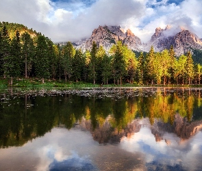 Las, Region Cadore, Góry Dolomity, Jezioro Antorno, Chmury, Drzewa, Odbicie, Włochy