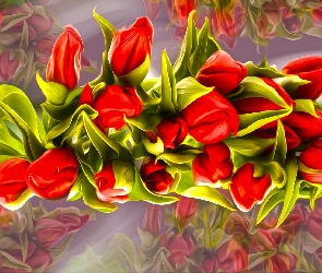 Czerwone, Grafika, Tulipany