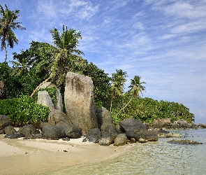 Seszele, Roślinność, Głazy, Chmury, Palmy, Skały, Plaża Anse Source D Argent, Wyspa La Digue, Morze