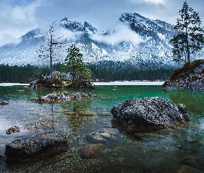 Drzewa, Skały, Bawaria, Jezioro Hintersee, Niemcy, Góry
