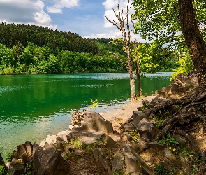 Rzeka, Wzgórze, Roślinność, Drzewa, Kamienie, Las