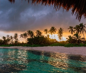 Plaża, Morze, Tropiki, Dominikana, Palmy, Deszcz, Przylądek Punta Cana