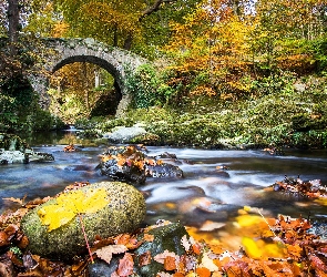 Irlandia Północna, Kamienie, Kamienny, Liście, Most, Rzeka Shimna, Park Tollymore Forest, Jesień, Las