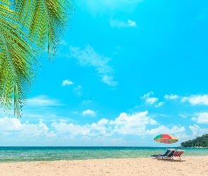 Leżaki, Niebo, Plaża, Morze, Wakacje, Liście, Chmury, Palmy, Parasol