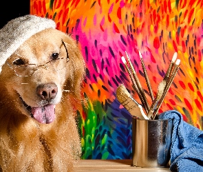 Golden retriever, Pędzelki, Pies, Okulary, Szmatka, Czapka, Obraz, Kubek