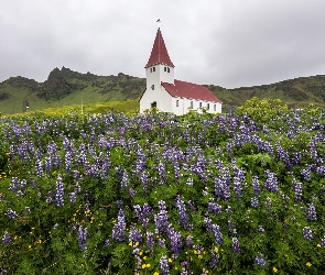 Kościół, Łubin, Islandia, Miejscowość Vik i Myrdal, Gmina Myrdalshreppur, Góry