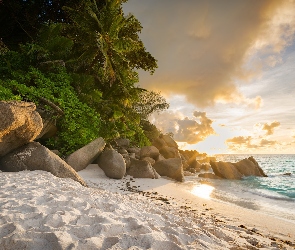 Plaża Anse, Wyspa Praslin, Rośliny, Seszele, Chmury, Palmy, Morze, Brzeg, Kamienie