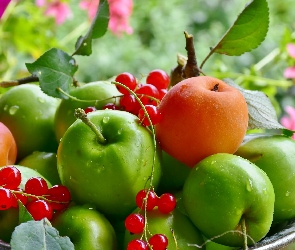 Owoce, Miska, Morele, Porzeczki, Jabłka
