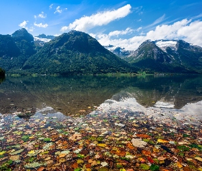 Liście, Jezioro Oppstrynsvatnet, Hjelle, Chmury, Góry, Norwegia, Gmina Stryn