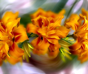 Kwiaty, Grafika, Lilie, Pomarańczowe