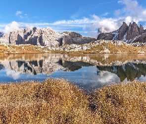 Trawa, Jezioro, Południowy Tyrol, Odbicie, Góry Alpy, Włochy, Dolomity