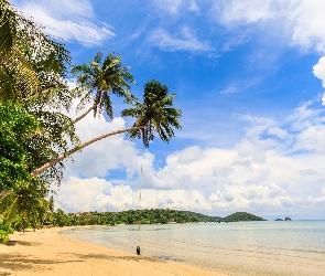 Plaża, Palmy, Prowincja Trat, Chmury, Morze, Wyspa Ko Mak, Tajlandia