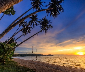 Palmy, Prowincja Trat, Morze, Wyspa Ko Mak, Chmury, Plaża, Wschód słońca, Tajlandia