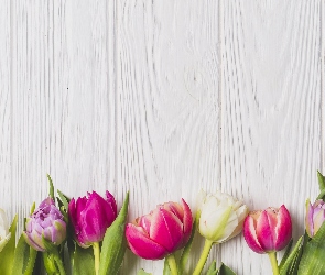 Kolorowe, Deski, Tulipany, Kwiaty
