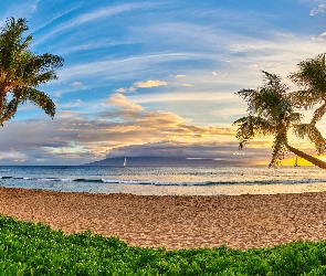 Palmy, Wyspa Maui, Hawaje, Żaglówki, Wschód słońca, Roślinność, Chmury, Plaża Kaanapali Beach