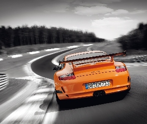 Porsche GT3 RS, Pomarańczowe