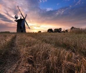 Anglia, Hrabstwo Oxfordshire, Wiatrak, Pole, Zachód słońca, Great Haseley