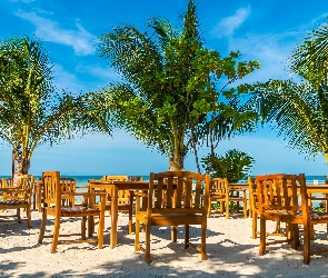 Krzesła, Morze, Plaża, Palmy, Stoliki