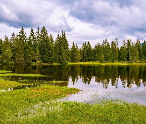 Jezioro, Odbicie, Chmury, Trawa, Drzewa