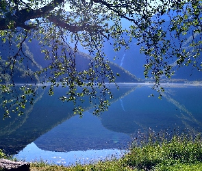 Odbicie, Góry, Region Trondelag, Norwegia, Jezioro Eidsvatnet, Drzewo