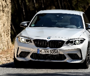 BMW M2, 2019, Competition