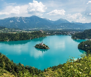 Słowenia, Wyspa Blejski Otok, Roślinność, Góry Alpy Julijskie, Drzewa, Jezioro Bled
