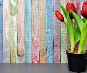 Tulipany, Ściana, Doniczka
