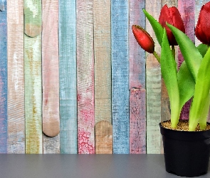 Doniczka, Ściana, Tulipany