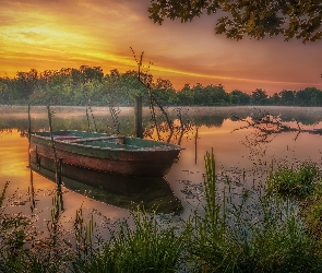 Drzewa, Łódka, Jezioro, Wschód słońca