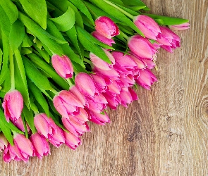 Bukiet, Stół, Łodygi, Tulipany różowe, Kwiaty