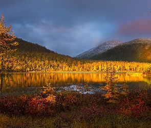 Las, Zachód Słońca, Jesień, Góry, Jezioro