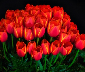 Kwiaty, Tło ciemne, Tulipany, Bukiet