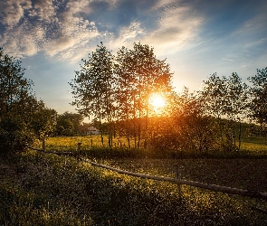 Drzewa, Łąka, Wieś, Wschód słońca, Chmury, Domek, Roślinność