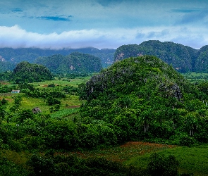 Prowincja Pinar del Rio, Pasmo Sierra de los Organos, Wzgórza, Dolina Valle de Vinales, Kuba