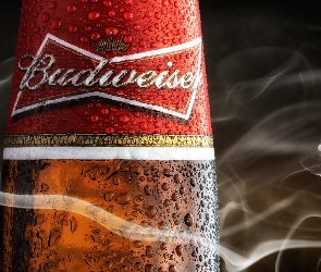 Budweiser, Butelka, Piwo