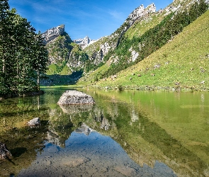 Szwajcaria, Kanton Appenzell Innerrhoden, Góry Alpy, Jezioro Seealpsee, Kamienie, Drzewa