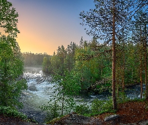 Park Narodowy Oulanka, Laponia, Finlandia, Drzewa, Las, Wiosna, Rzeka, Rzeka Kitkajoki