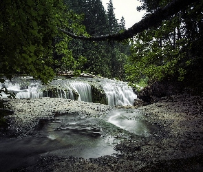 Wodospadu, Rzeka Lewis River, Las, Stany Zjednoczone, Miejscowość Cougar, Skały, Stan Waszyngton, Początek